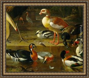 Melchior Broederlam Framed Paintings - The Floating Feather [detail #1] by Melchior de Hondecoeter